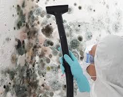 Best Biohazard Mold Removal  in Frewsburg, NY